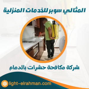 شركة مكافحة حشرات بالدمام